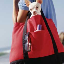Bag Edge Duffle Bags